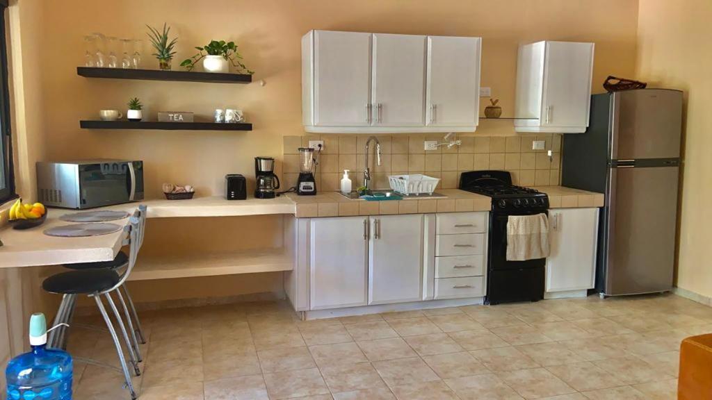 Beachfront Apartment With Swimming Pool. One Bedroom Celestun Εξωτερικό φωτογραφία